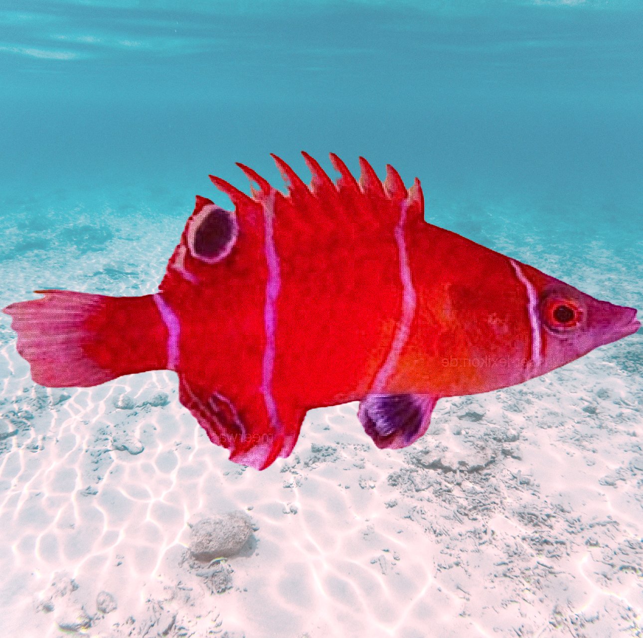 IMG_7455 2_edited_edited.jpg