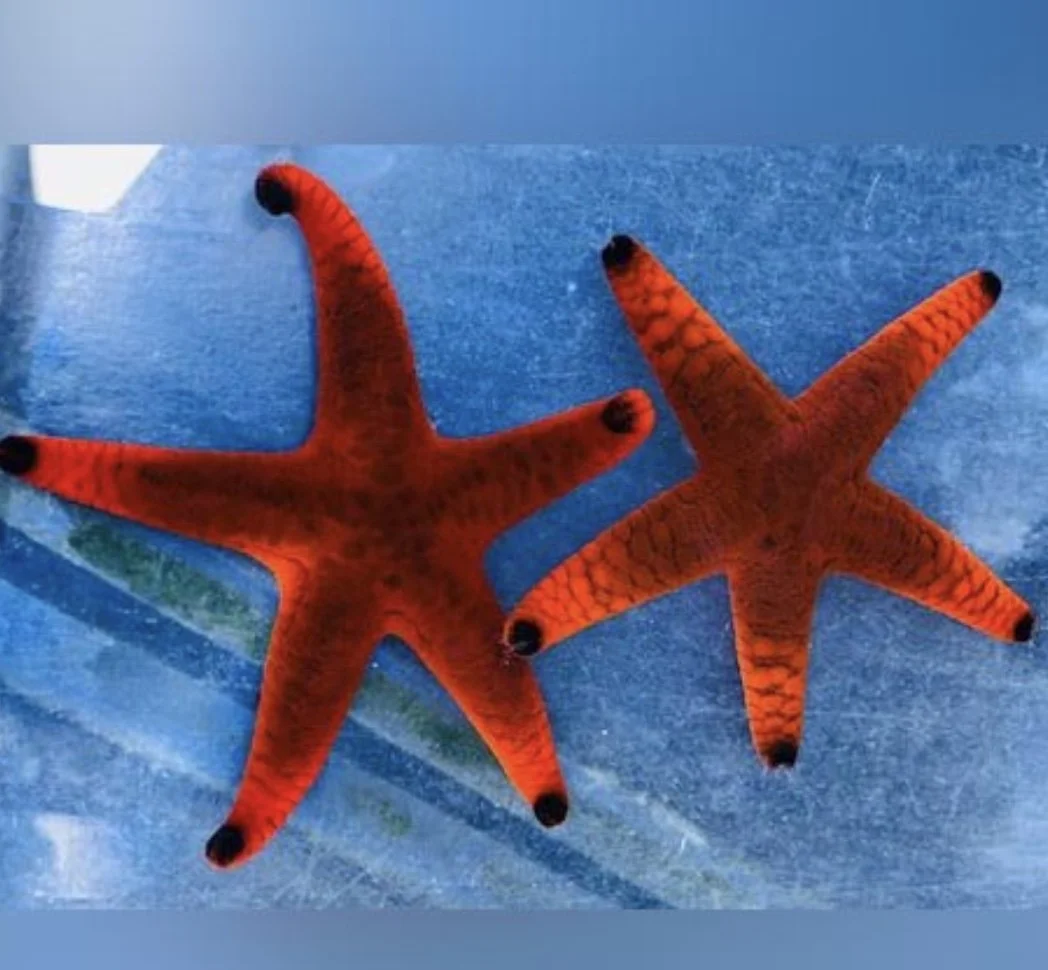 Image 8-19-24 at 8.54 AM.jpeg