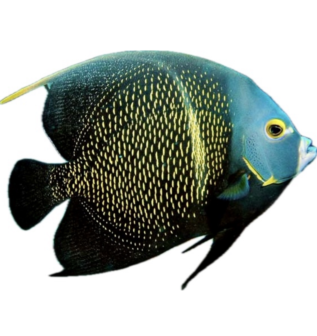 Screenshot 2025-11-10 at 8.29.32 PM.png