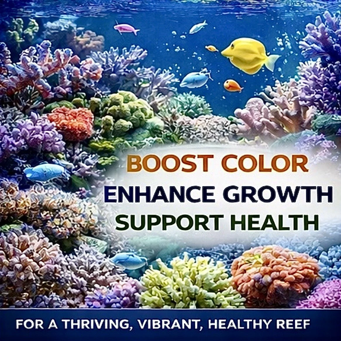 Phytoplankton provides essential nutrients that support coral growth, coloration, and filter feeder health