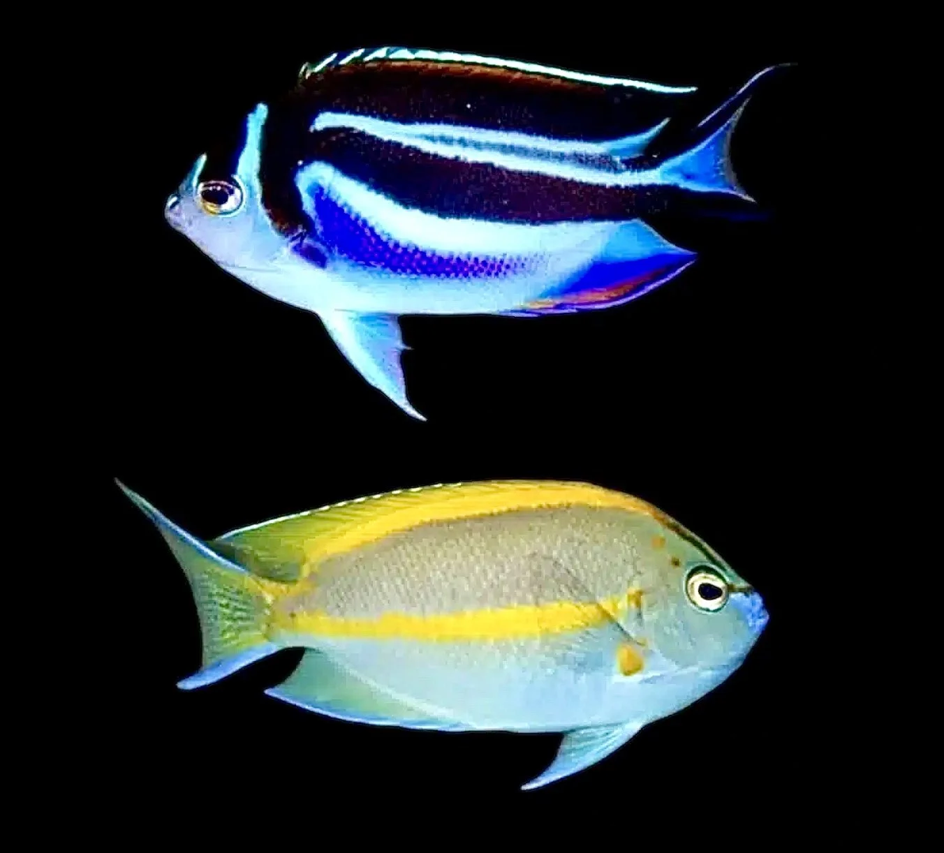 Image 12-30-24 at 6.49 AM.jpeg