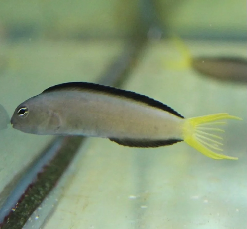 Image 8-29-24 at 10.18 AM.jpeg