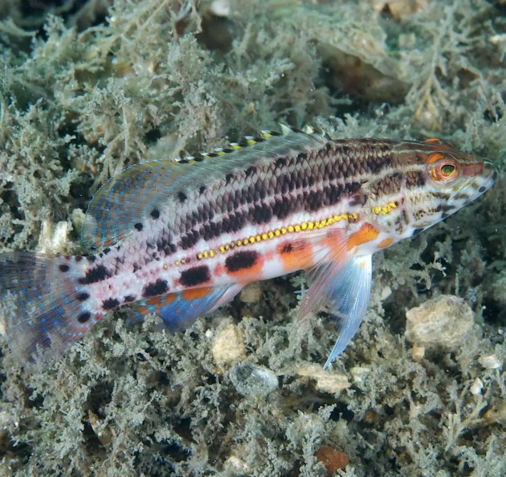 Image 9-10-24 at 8.25 AM.jpeg