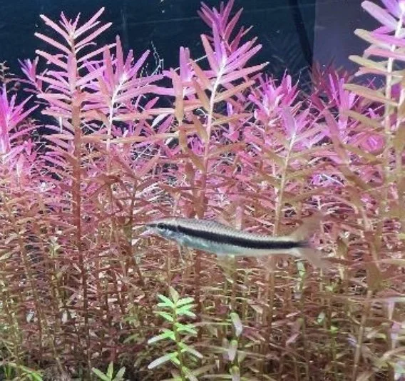 Image 11-2-25 at 7.38 AM.jpeg