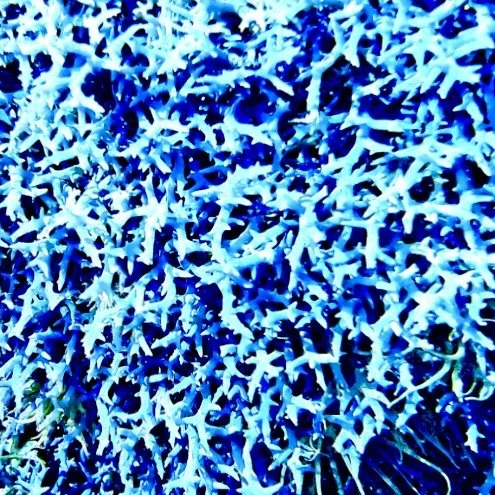 Image 12-24-25 at 12.26 PM.jpeg