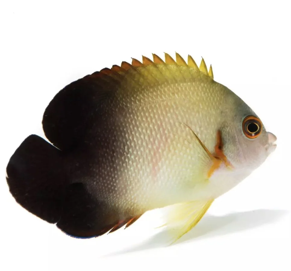 Image 8-31-24 at 1.03 PM.jpeg