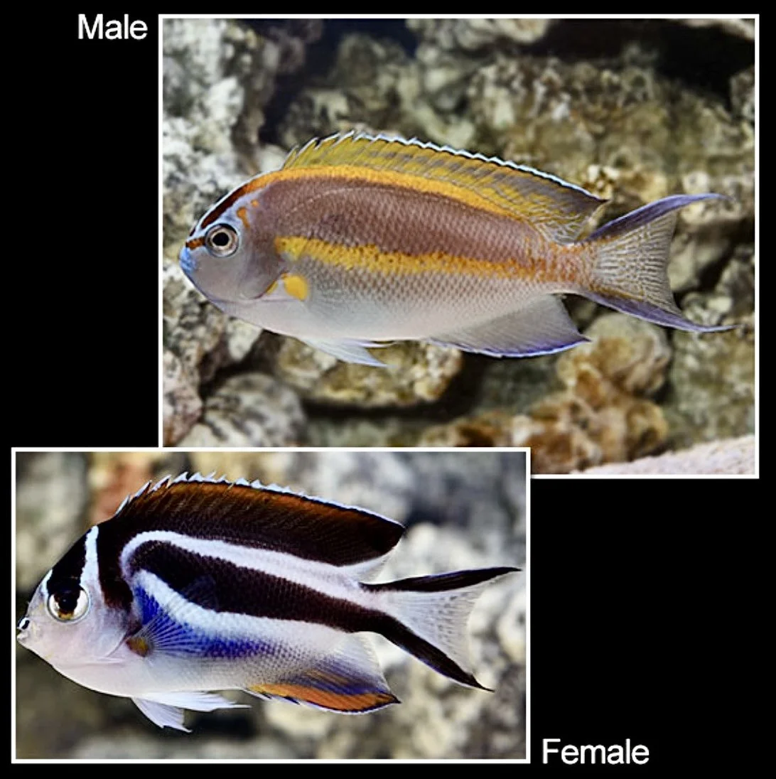 Image 12-30-24 at 6.45 AM.jpeg