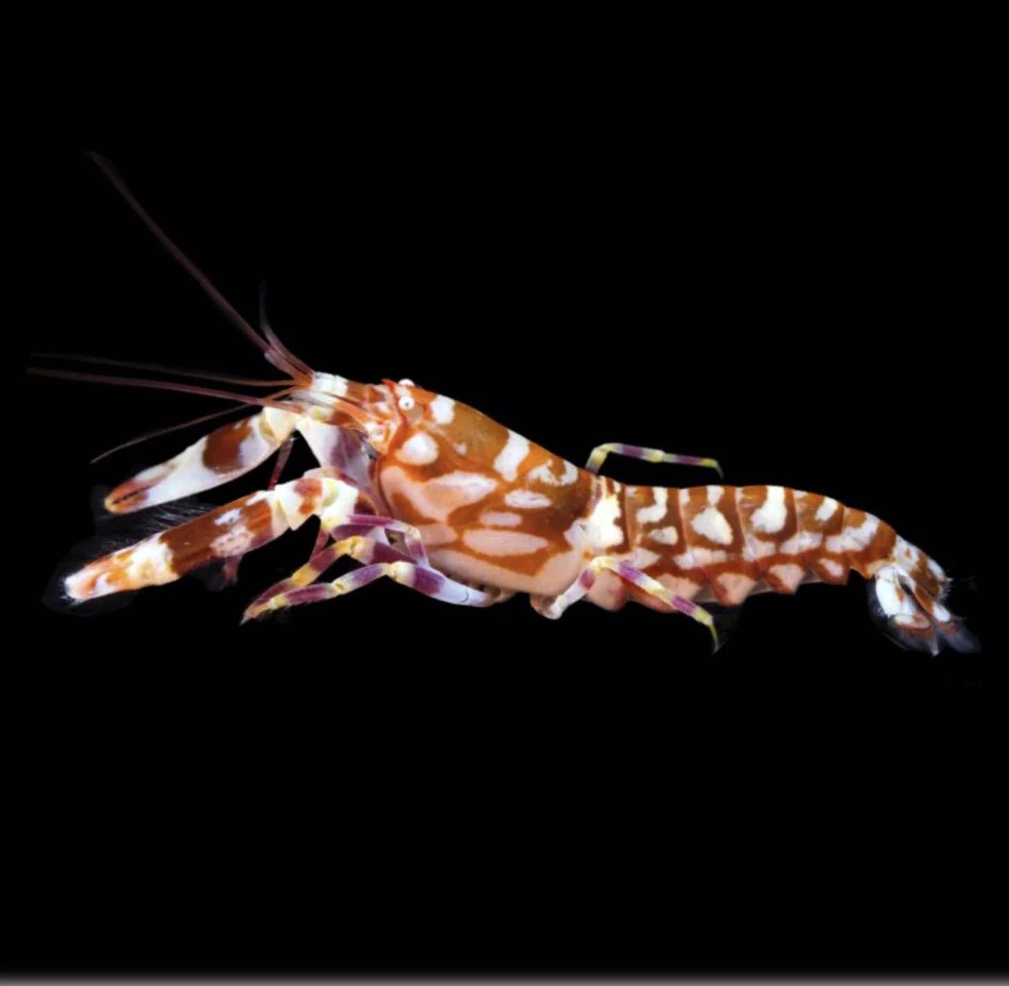 Image 11-1-25 at 8.53 AM.jpeg