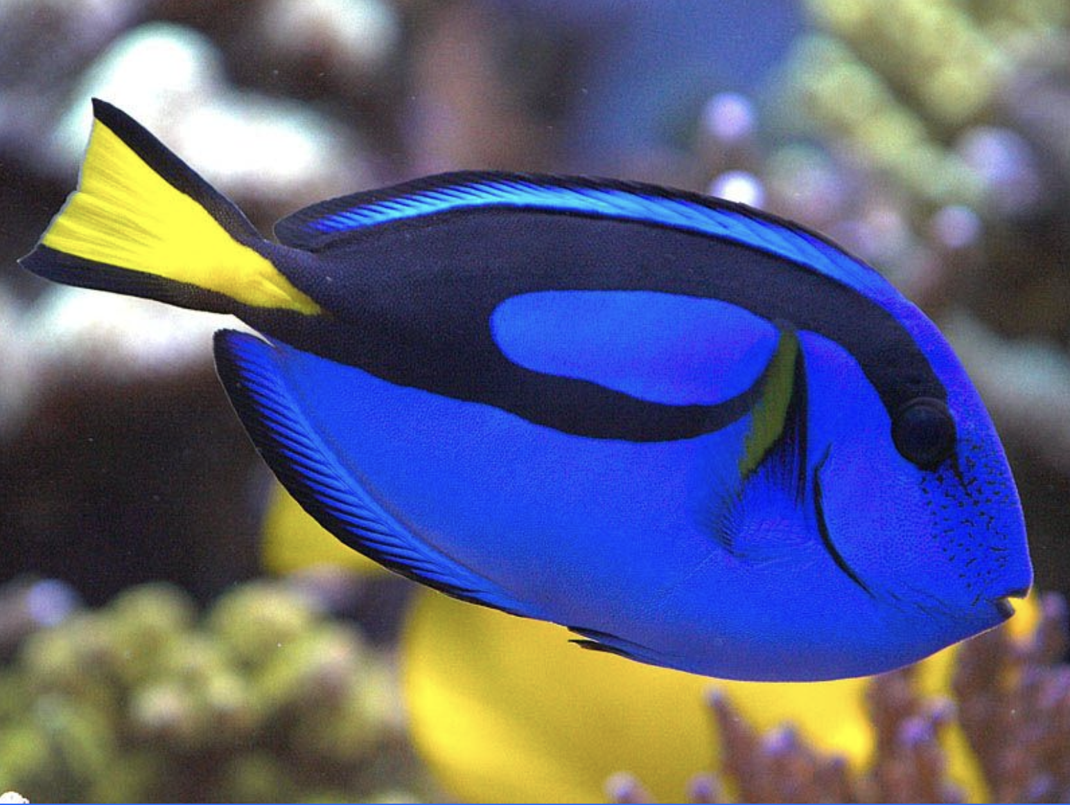 Screenshot 2025-11-10 at 8.51.49 PM.png