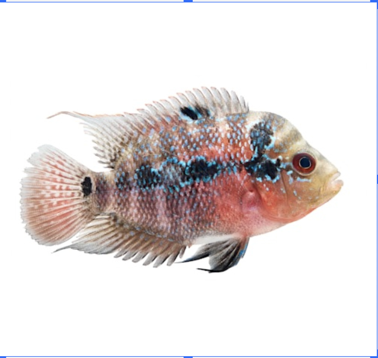 Screenshot 2025-11-10 at 11.09.29 AM.png