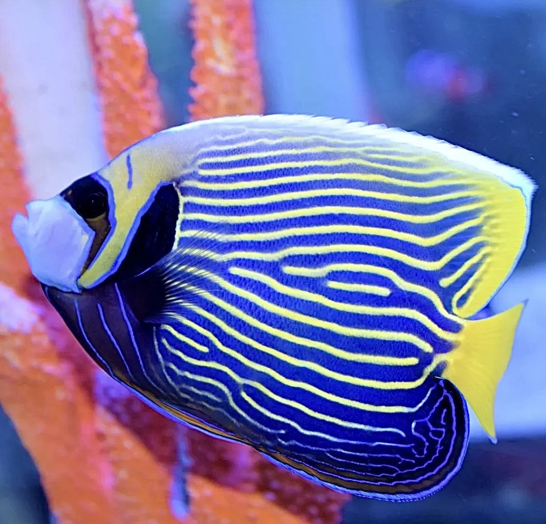 Image 1-7-25 at 8.34 AM.jpeg