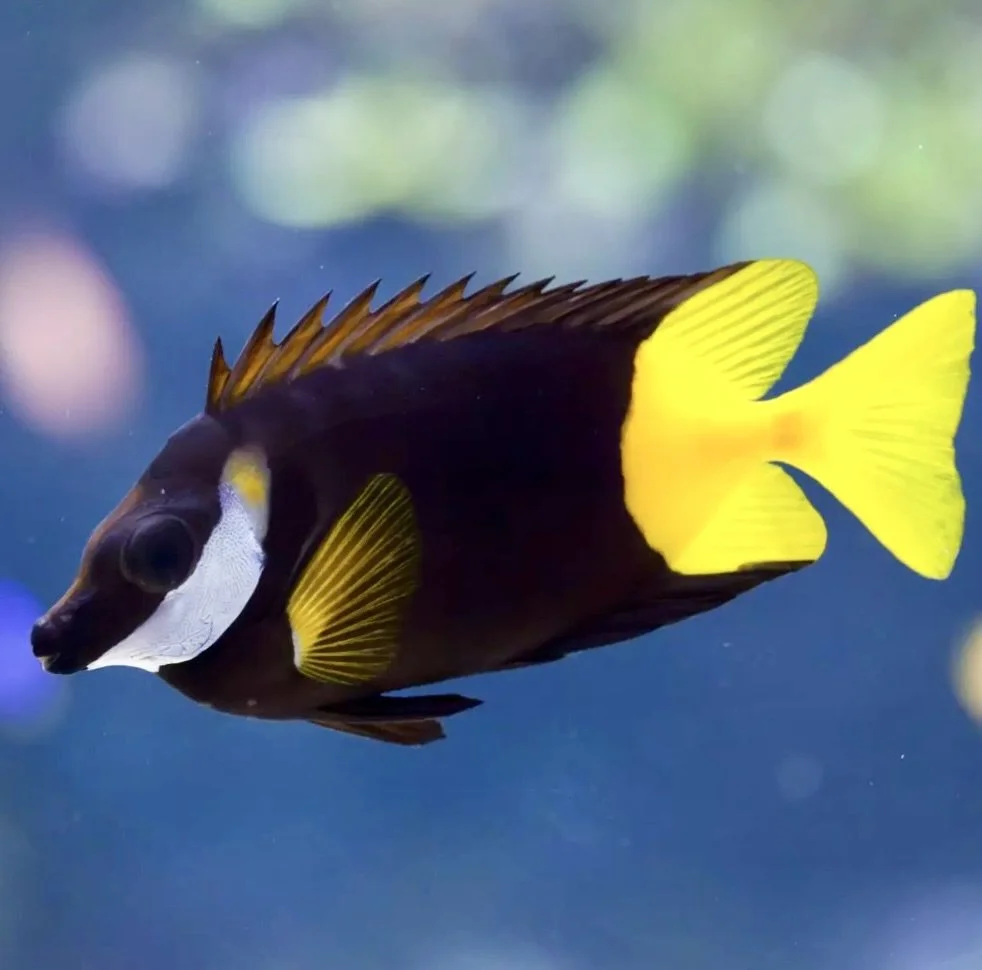 Image 8-18-24 at 1.48 PM.jpeg