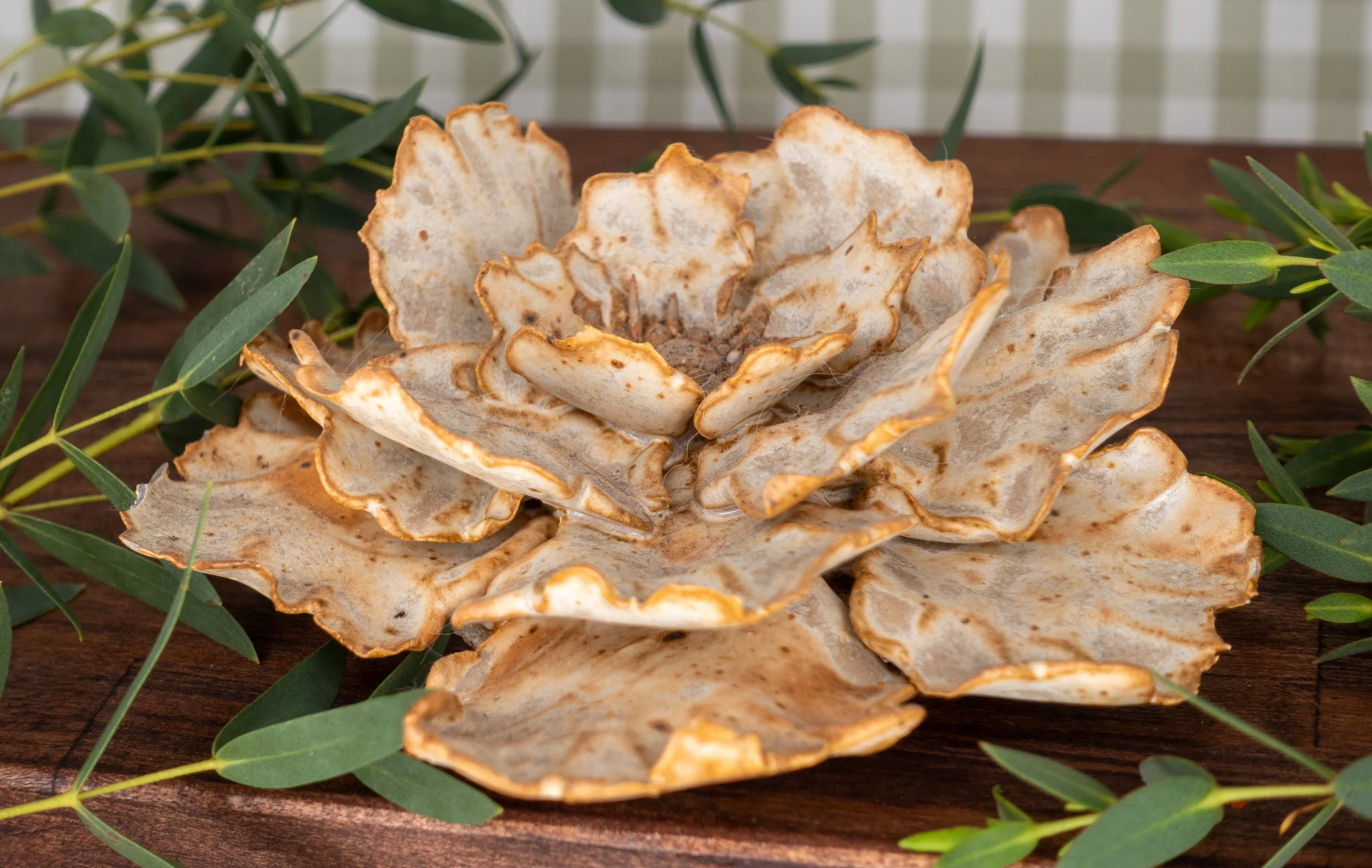 mug bottom green-2.jpg