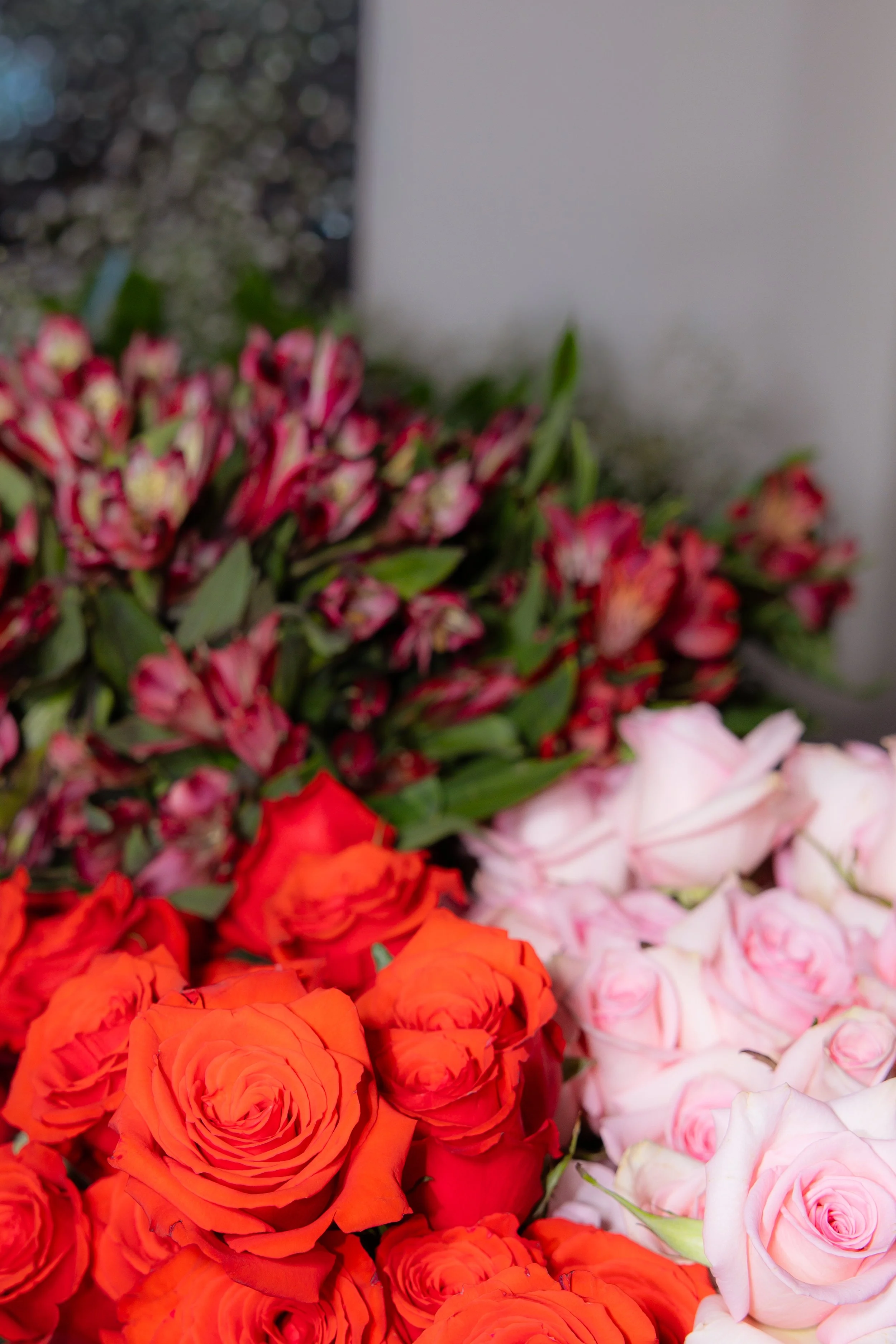 AshleysFocusPhotography-190.jpg