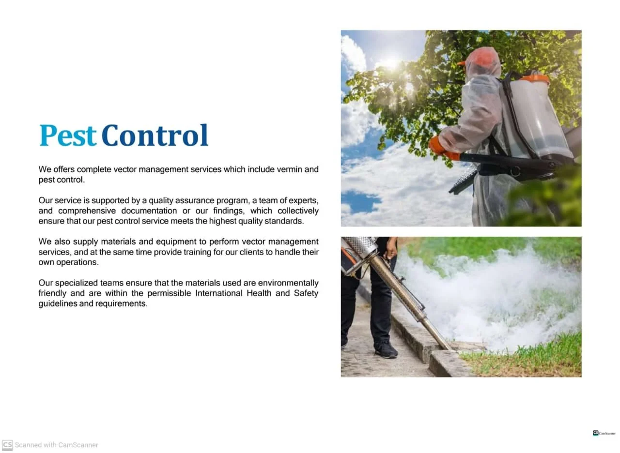 A pest control worker wearing protective gear using a sprayer to treat a tree, with the sun shining through green leaves, and another worker using a leaf blower to clear debris along a sidewalk.