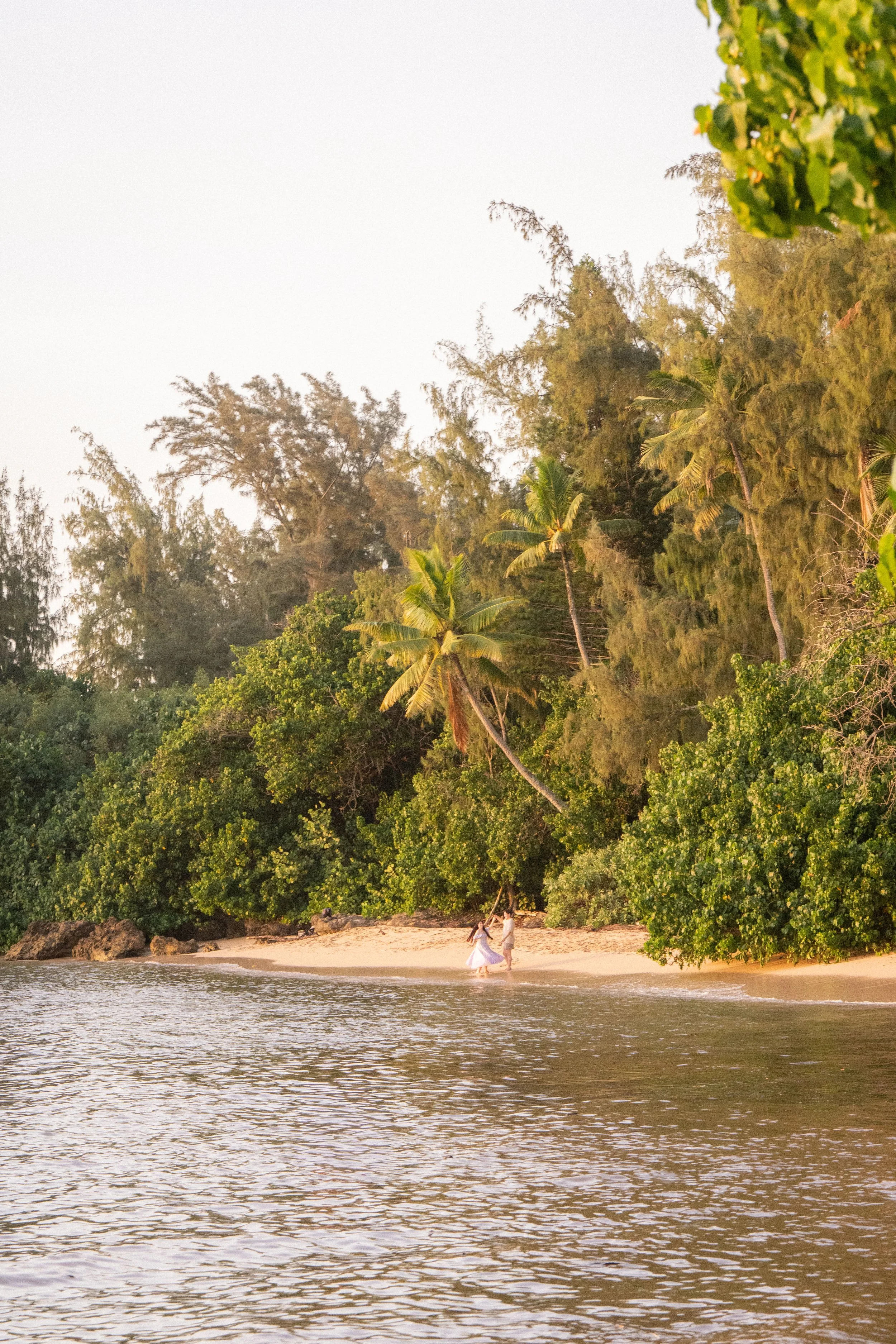 Couple walking along a sandy beach with lush green trees and tall palms, under a light sky, near the water.