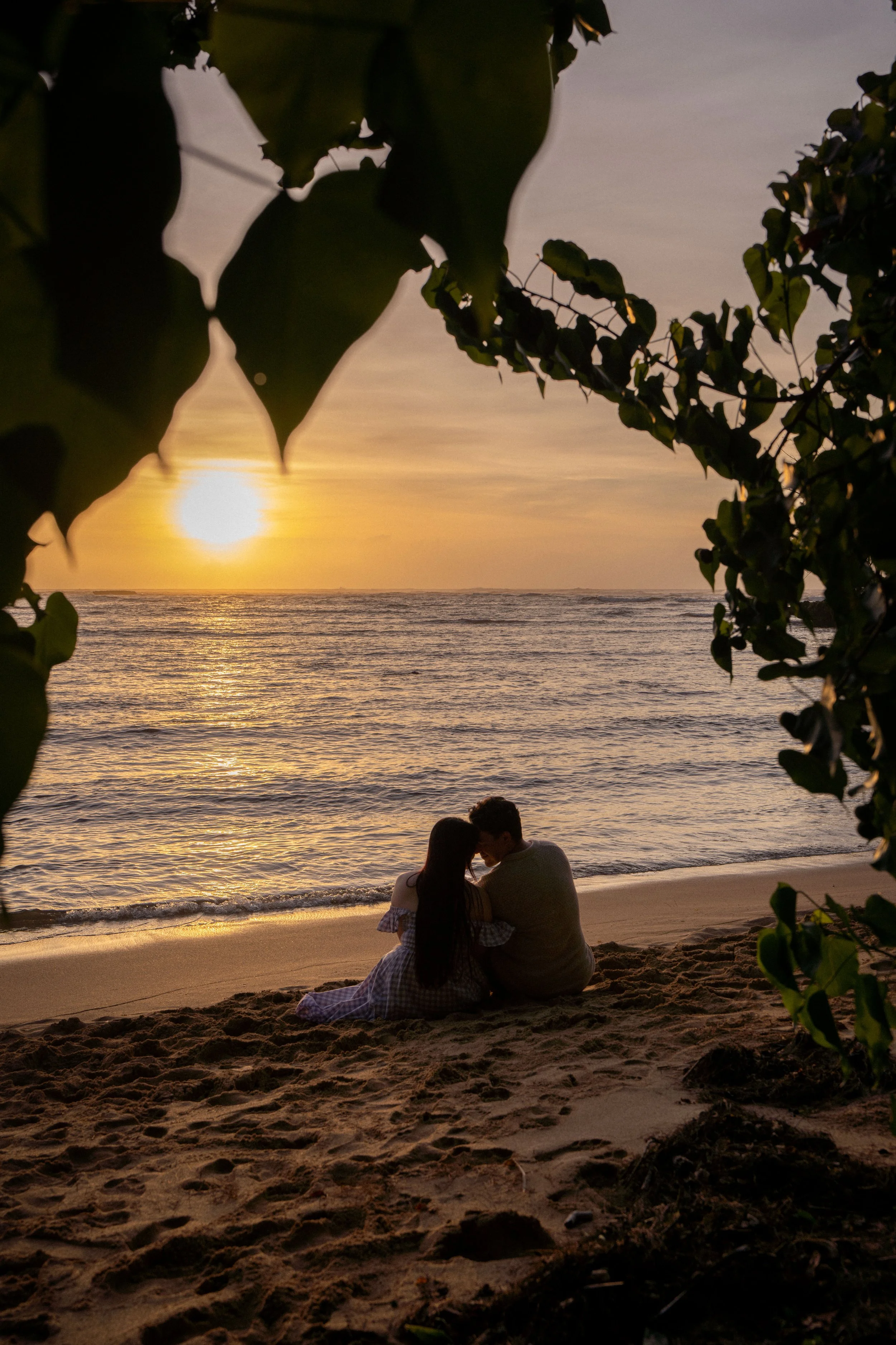 A couple sitting on the beach at sunset, kissing, with a view of the ocean and the setting sun, surrounded by leaves and trees.
