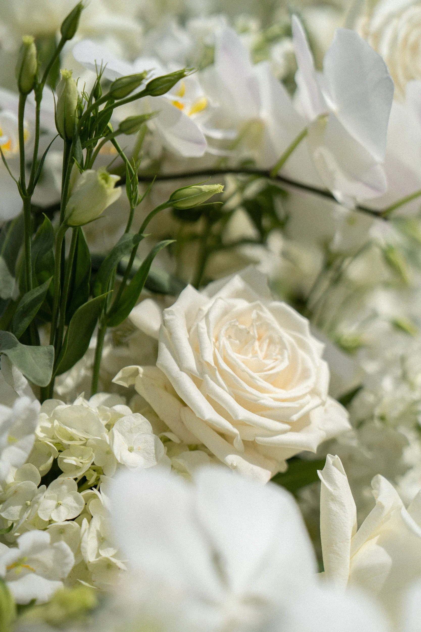 Close-up of white roses, hydrangeas, and green buds in a floral arrangement.