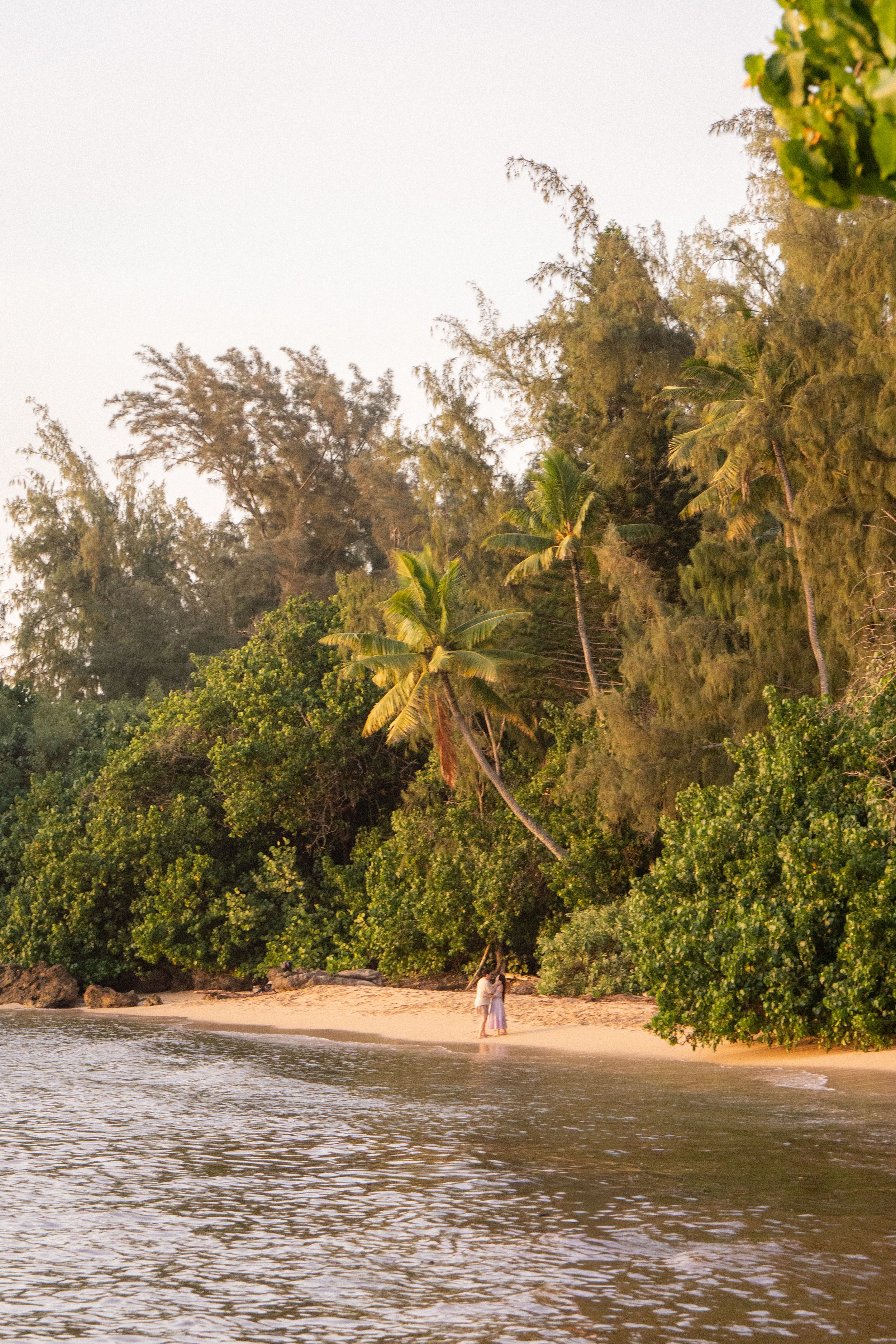 Couple walking hand-in-hand on a beach with lush green trees and tall palm trees in the background, near the shoreline with gentle waves and a clear sky.