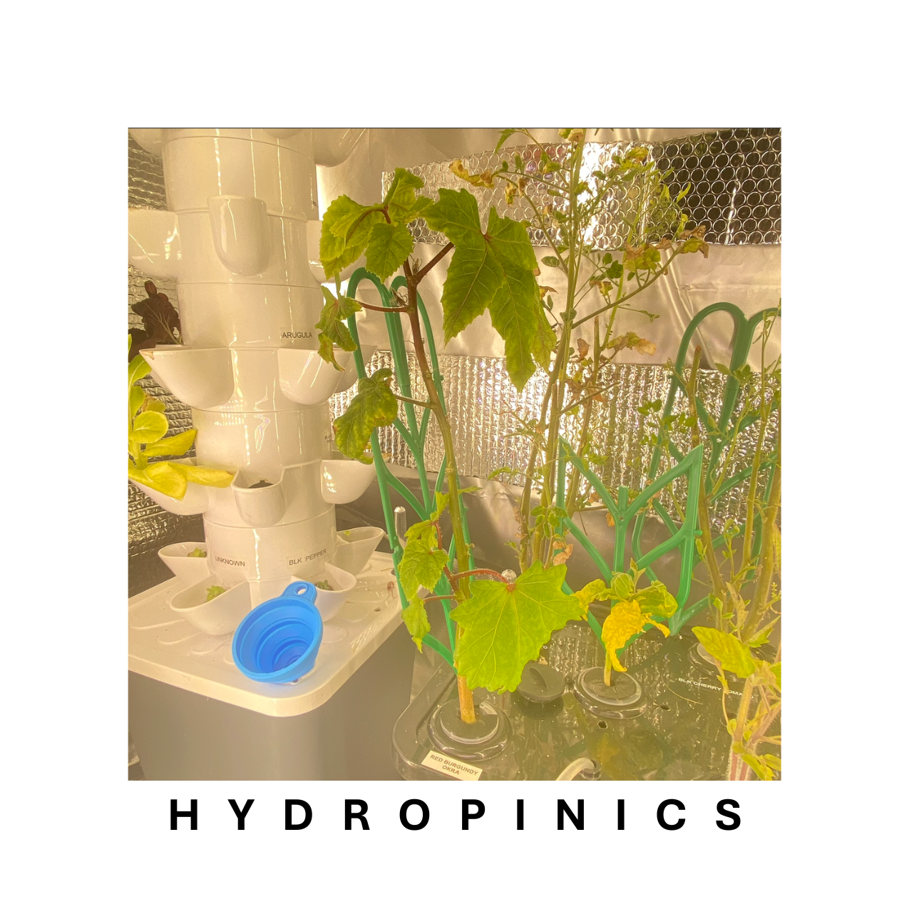 Hydroponic