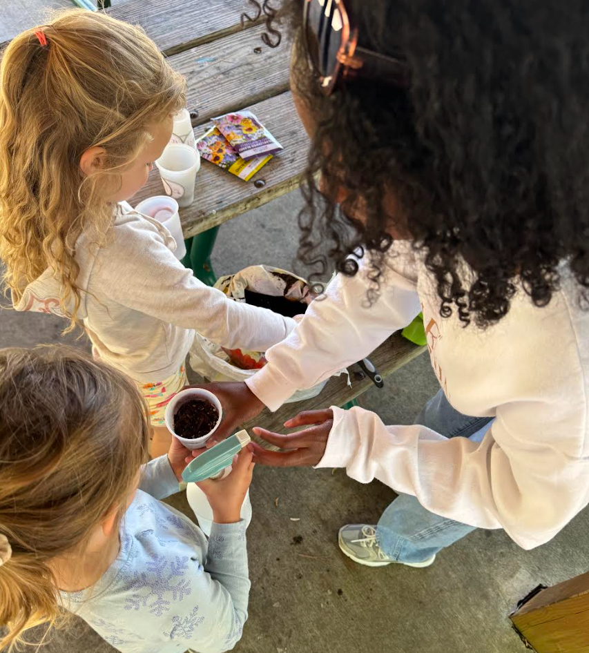 Camp Spotlight: LEARNING NEST ATLANTA
