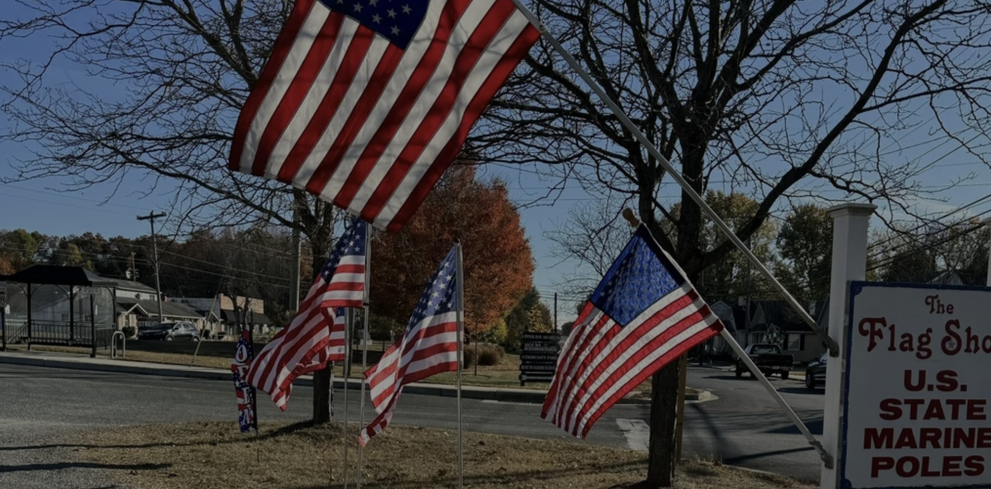 Several American flags and U.S. State Marine Poles flags are displayed along a sidewalk near a street with trees and a sign that reads "The Flag Shop U.S. State Marine Poles."