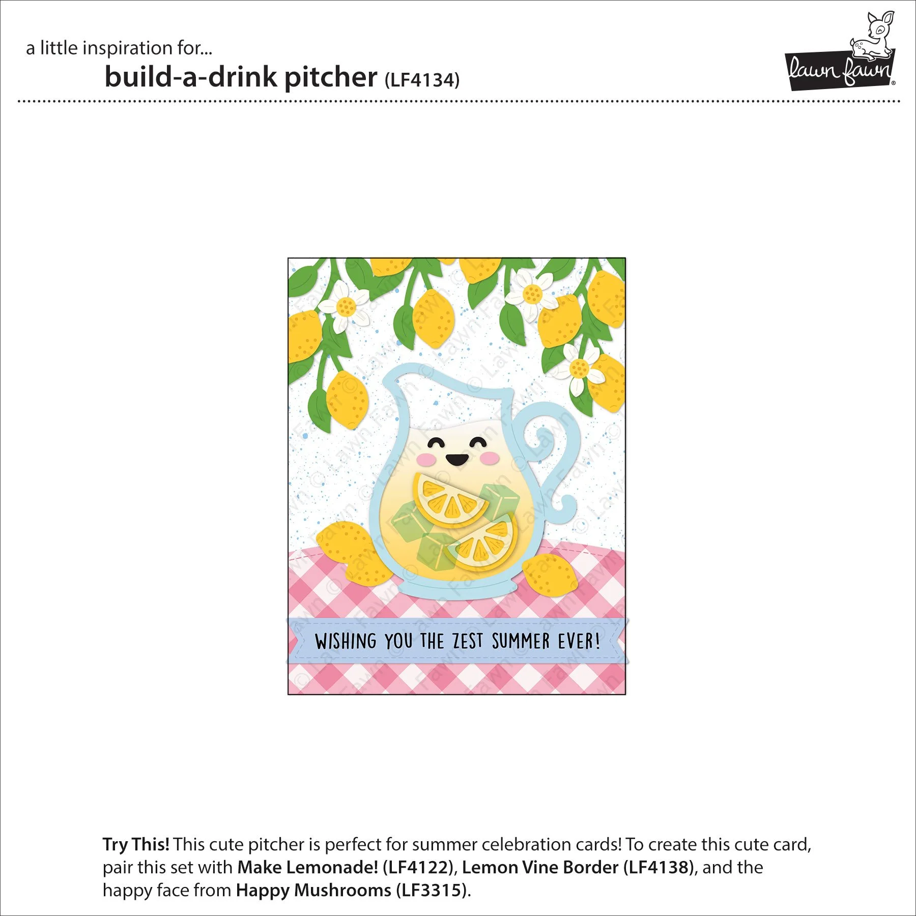 LF4134_BuildADrinkPitcher2_sml.jpg