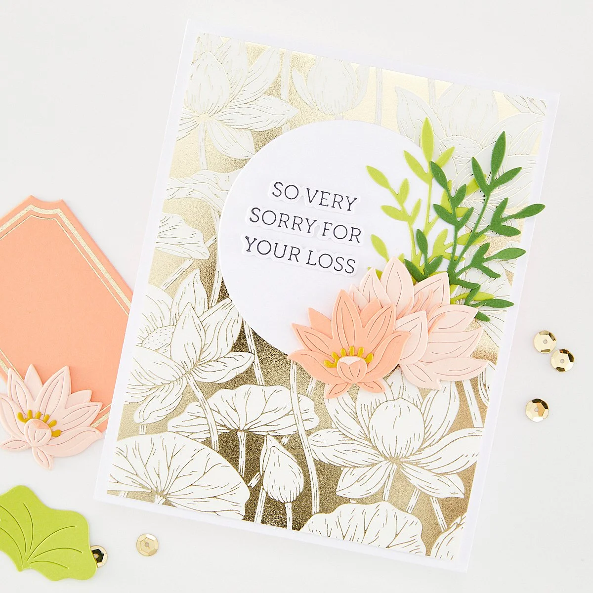 DF294.jpg