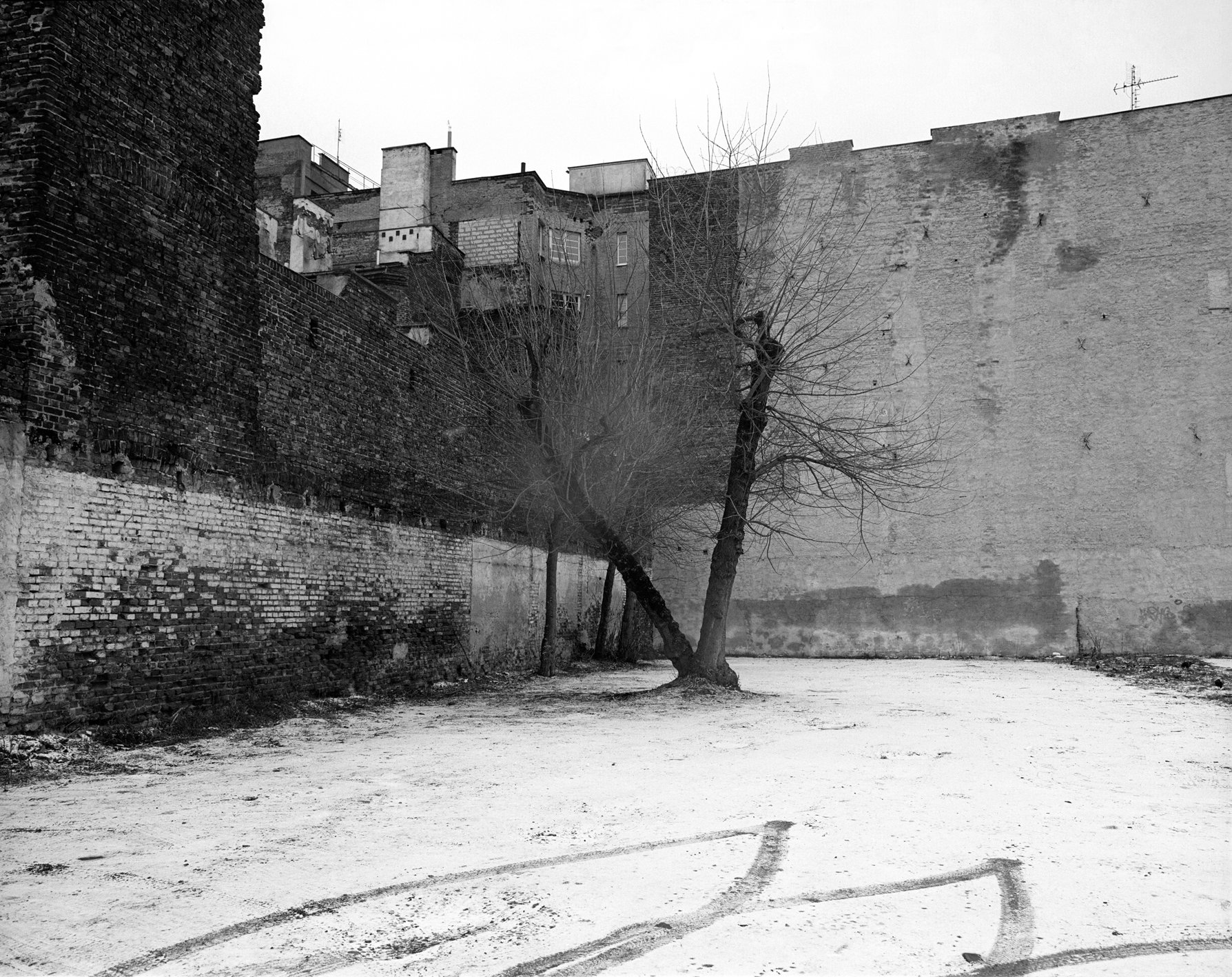 Black and white photo of a small, empty outdoor space with two leafless trees near a tall brick wall, with an urban building in the background.