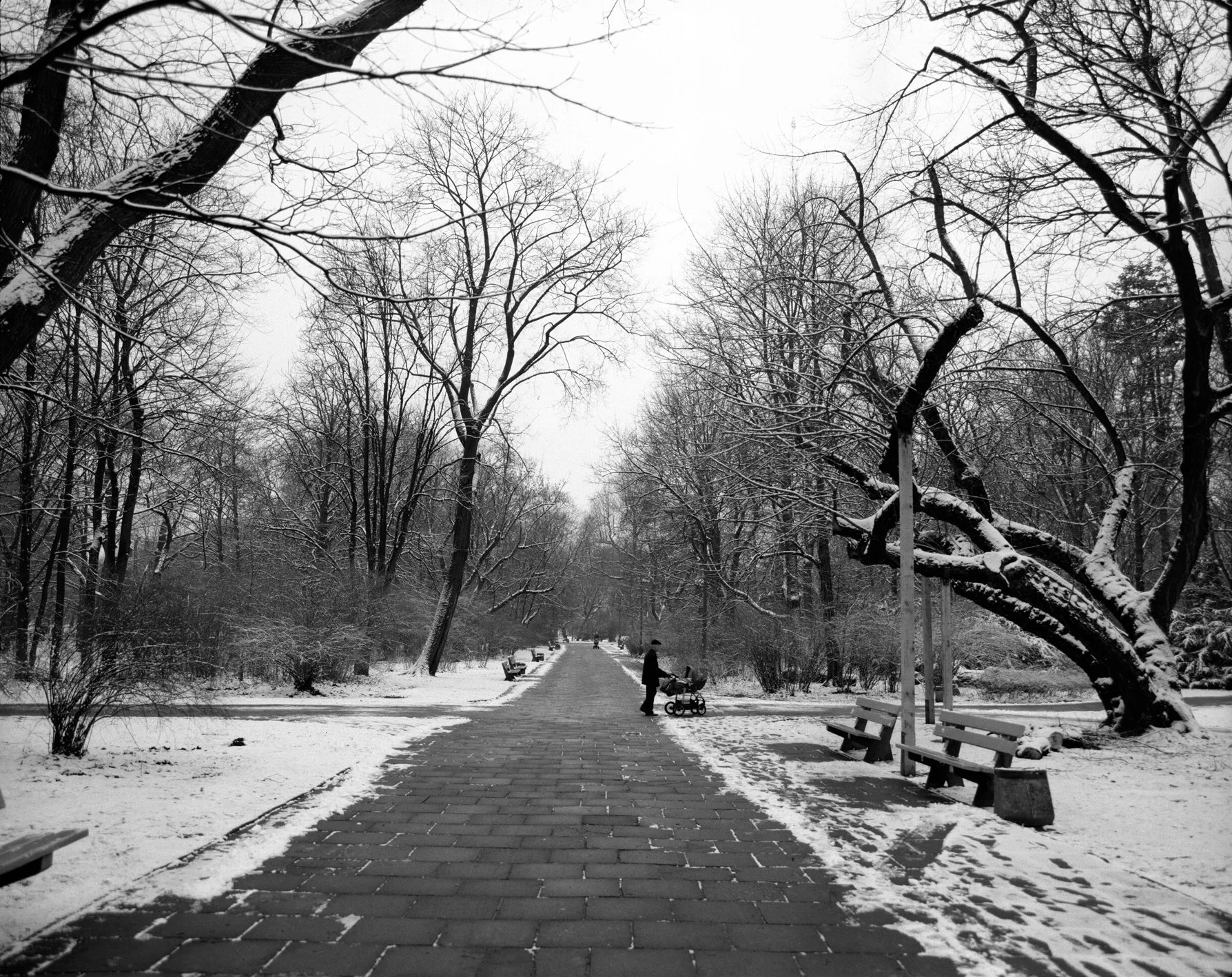 A snow-covered park pathway lined with leafless trees, benches, and a person with a stroller, in black and white.