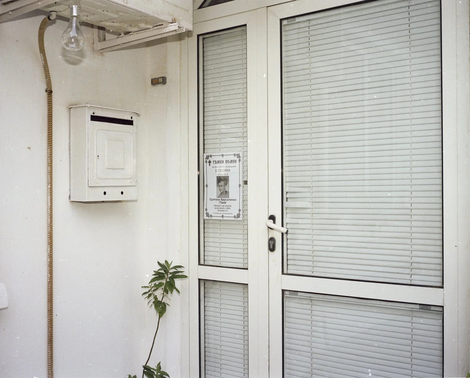 A white door with blinds and a poster, a wall-mounted white cabinet, a exposed light bulb, a coiled beige cable, and a small potted plant.