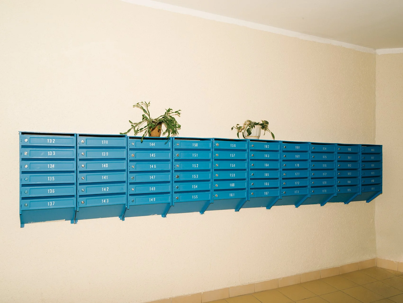 A row of blue mailboxes numbered from 132 to 189, with three potted plants placed on top, mounted on a beige wall in a hallway with tiled floor.