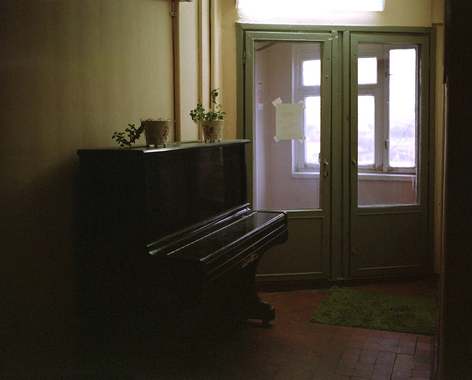 An interior scene with a black upright piano placed against a yellow wall, with two potted plants on top. There are double glass doors with green frames leading outside, and a small green rug on the brick floor in front of the doors.