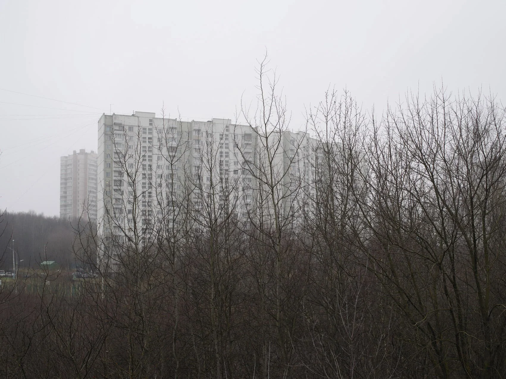 A foggy daytime scene with leafless trees in the foreground and tall white apartment buildings in the background.