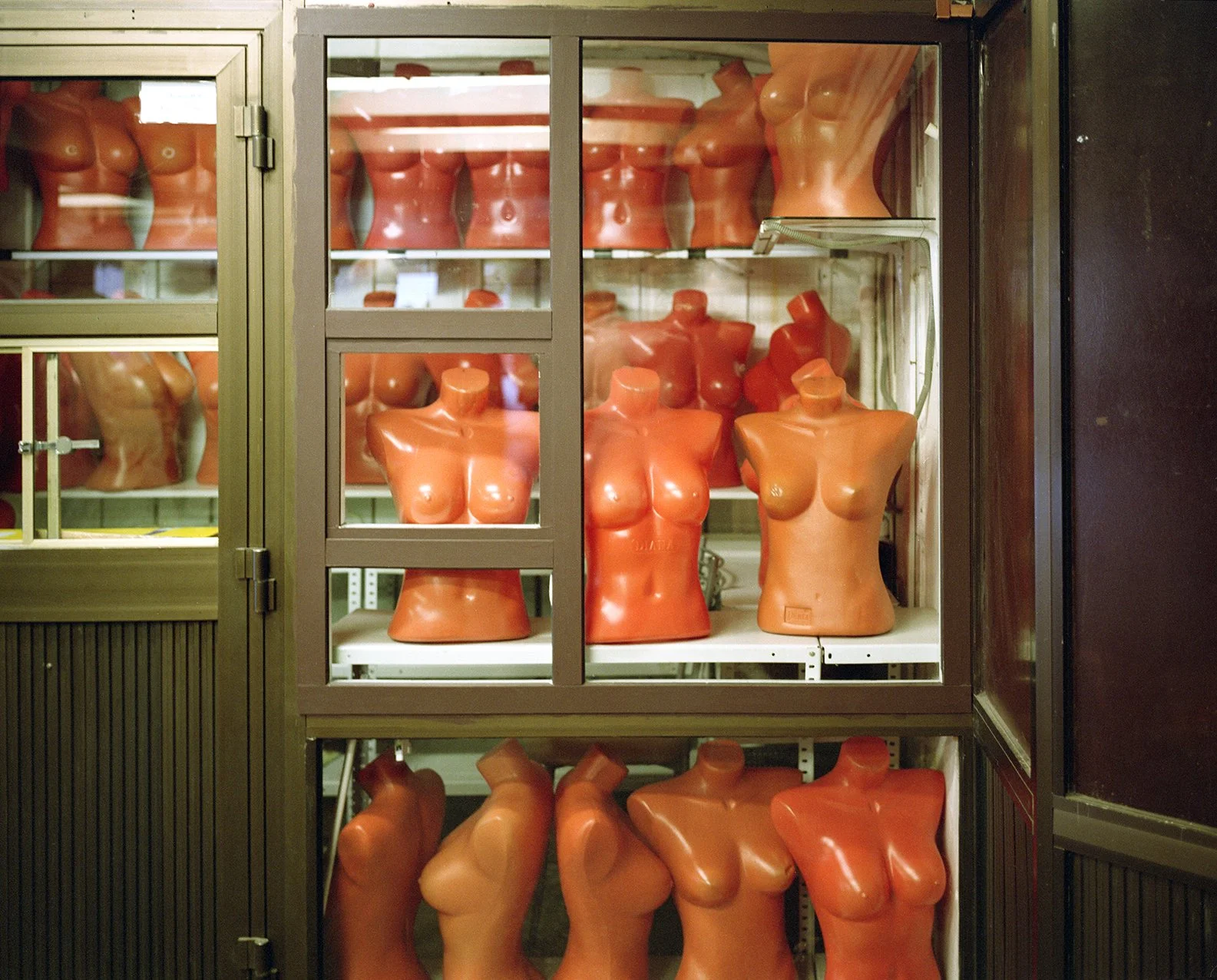 Display case filled with multiple mannequin torsos in various shades of orange, arranged on shelves inside a glass cabinet.