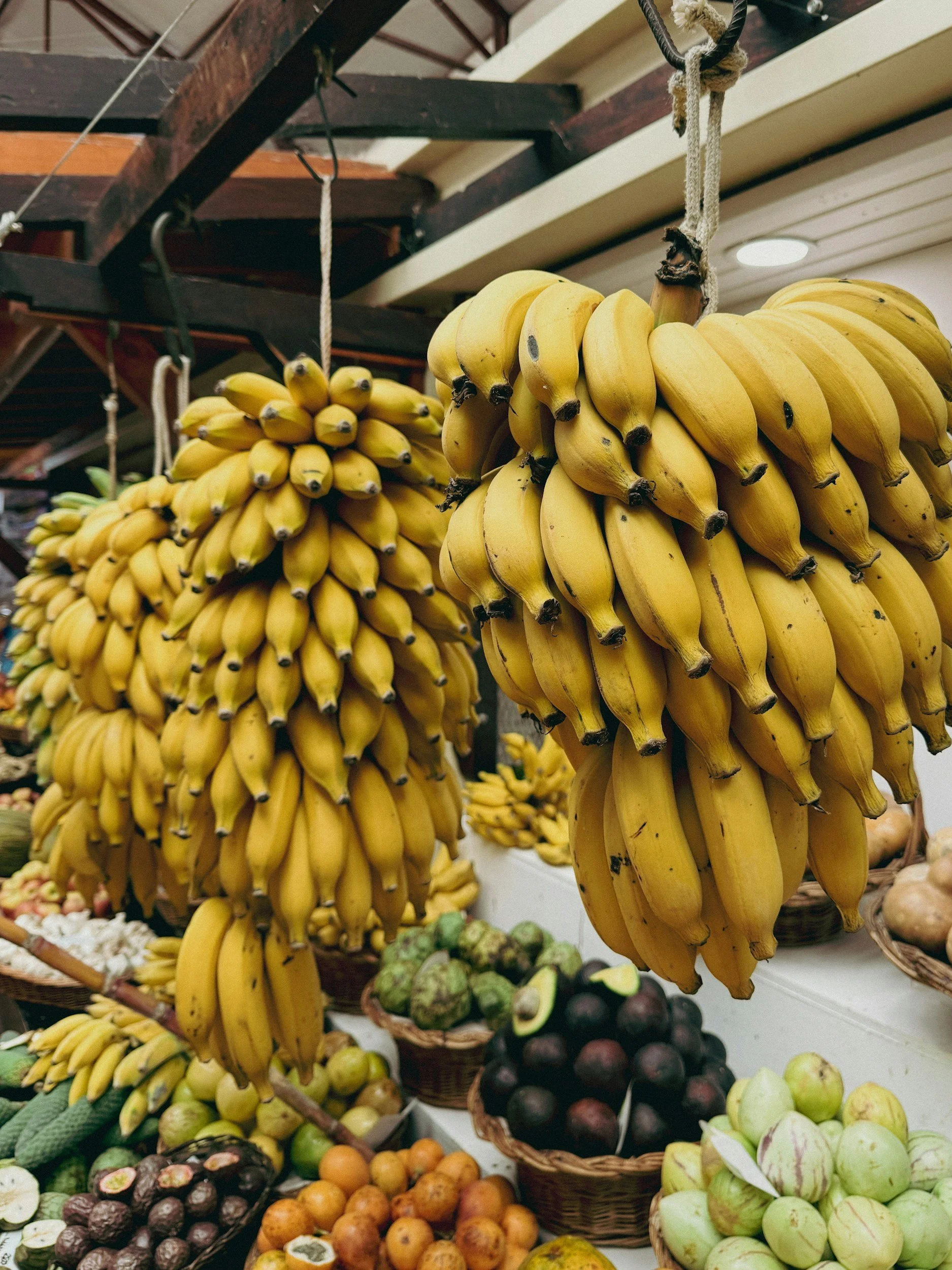 15 Tropical Fruits of Madeira, Ranked 