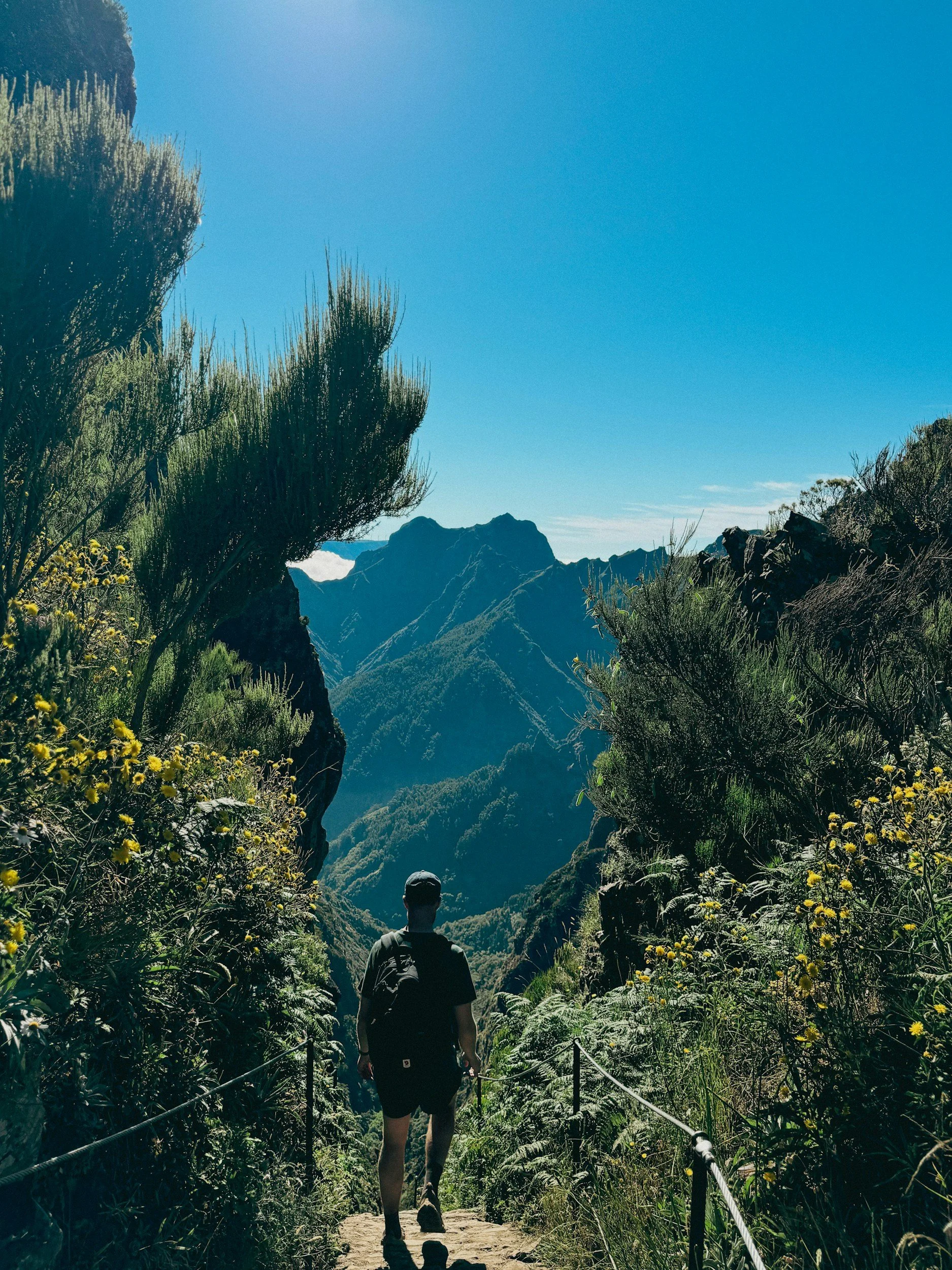 What to Do in Madeira if You’re Tired of Hiking
