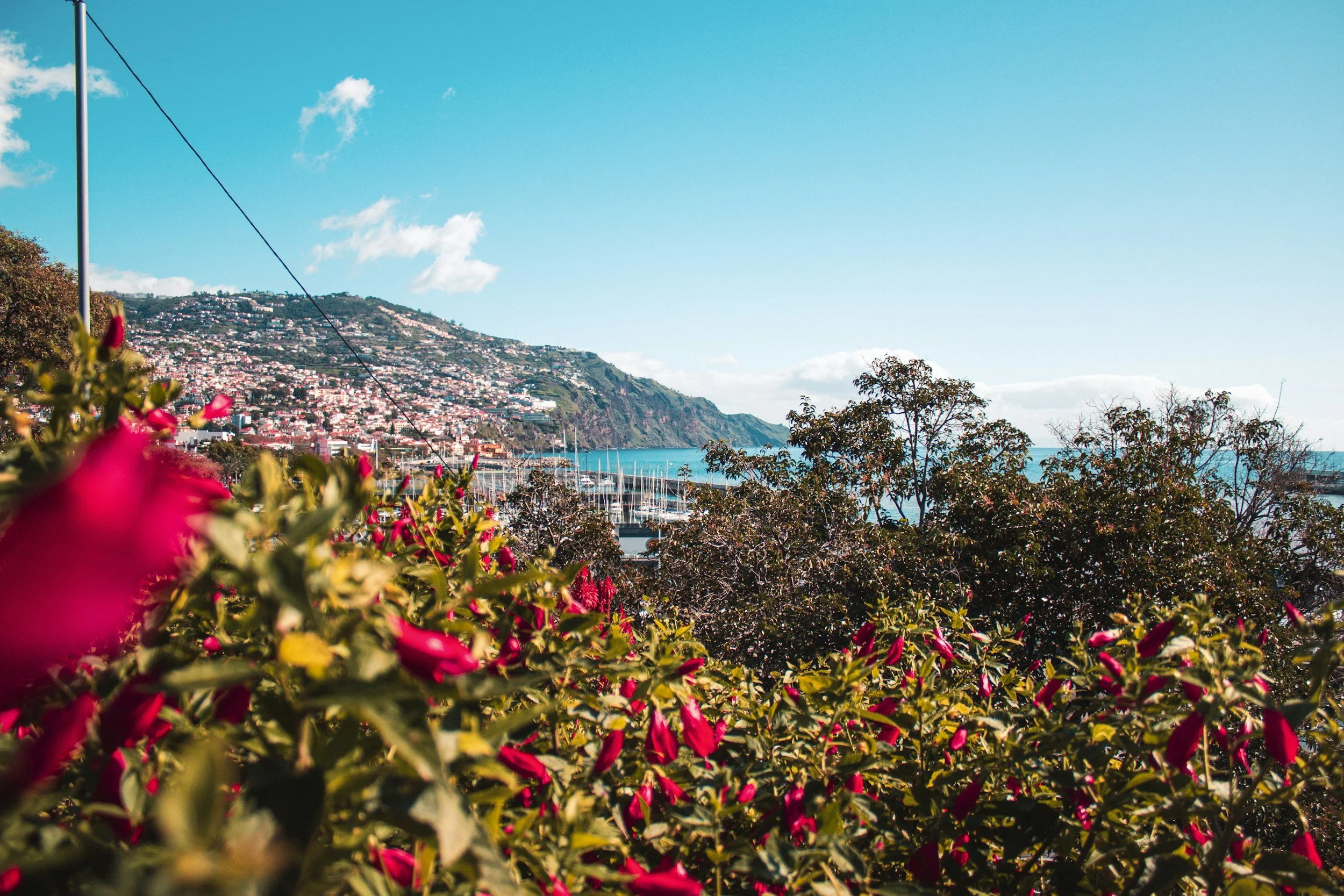 What to do in April in Madeira