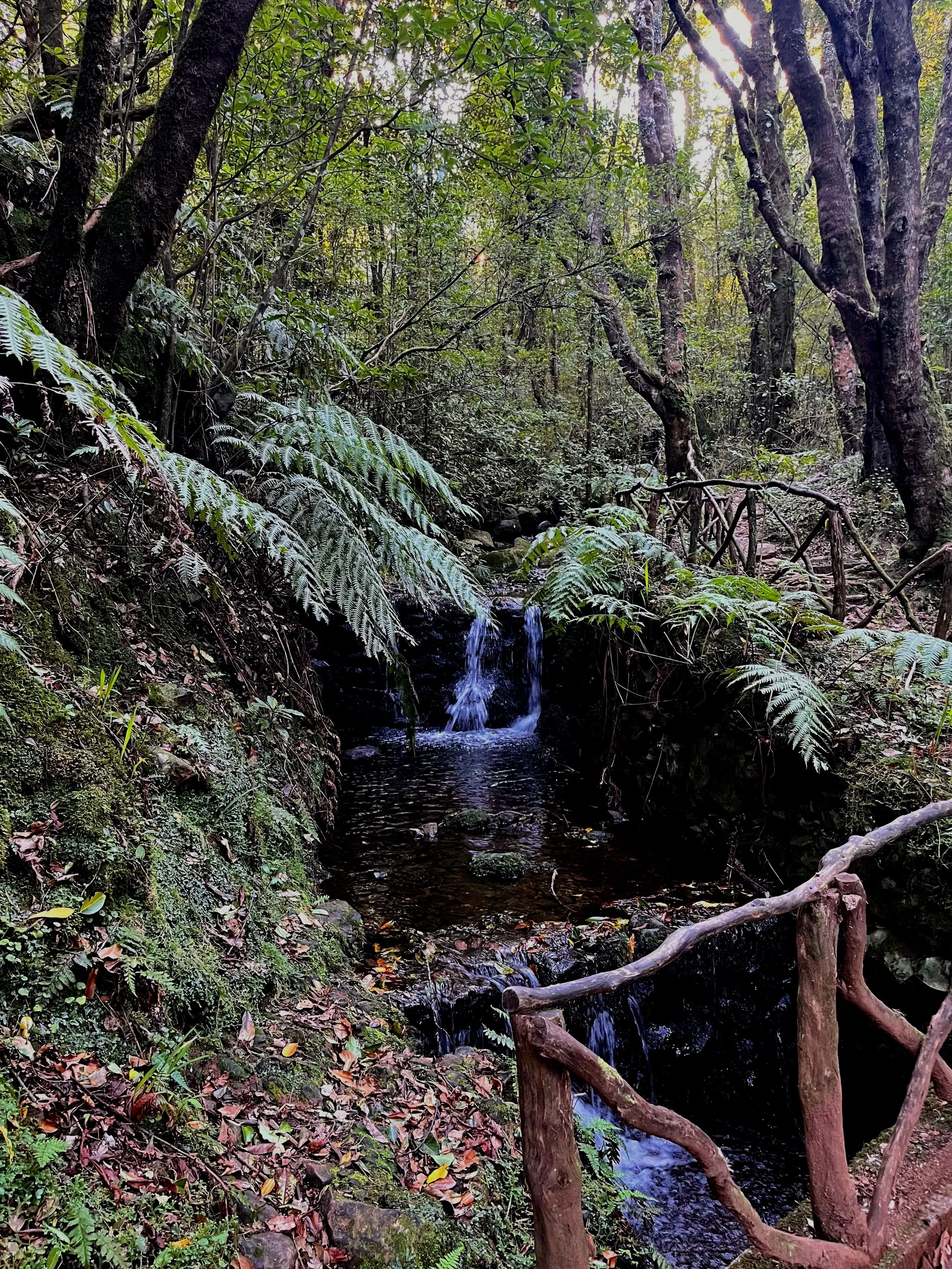 What do to in Madeira in March