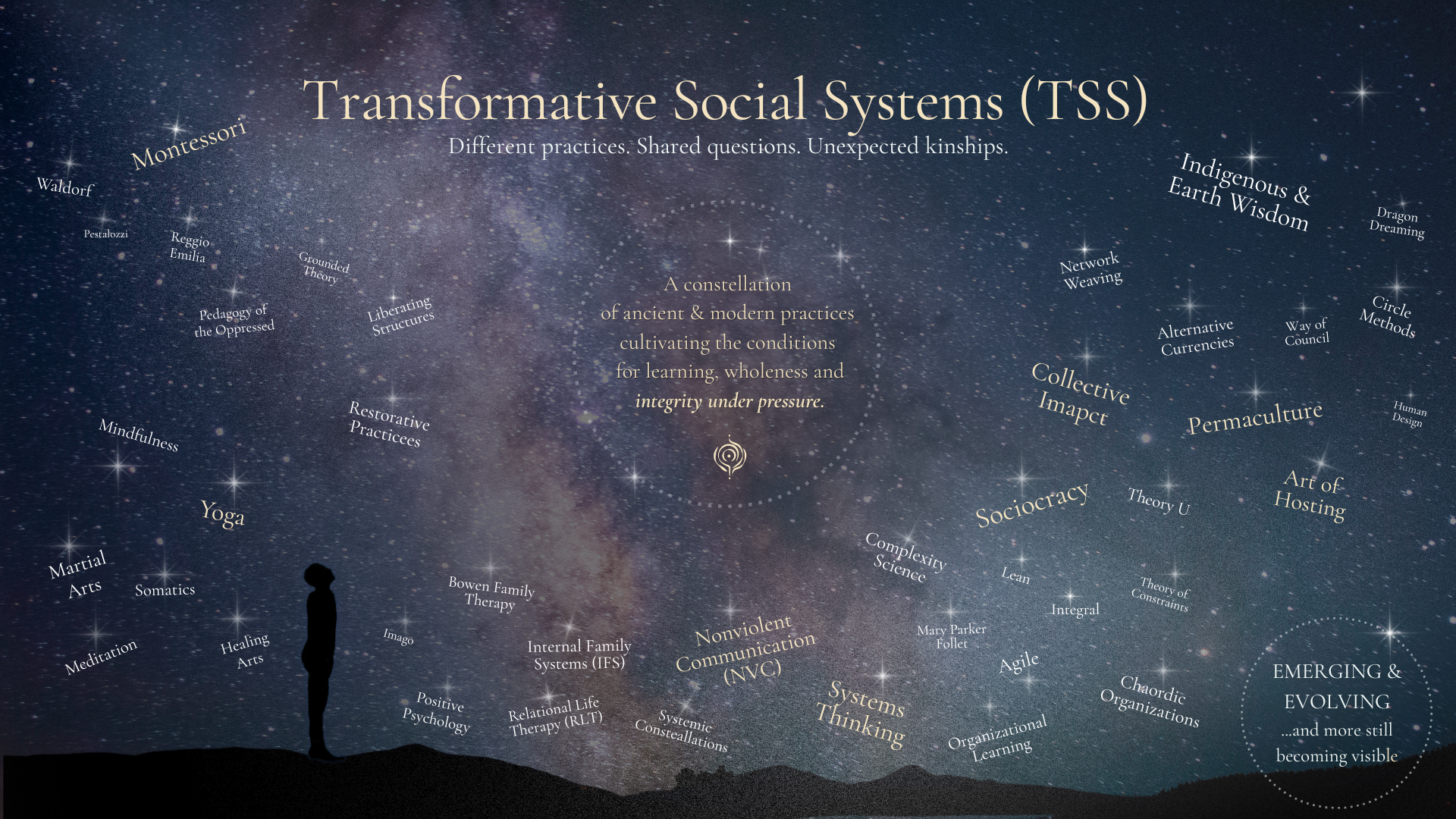 What are Transformative Social Systems (TSS)?