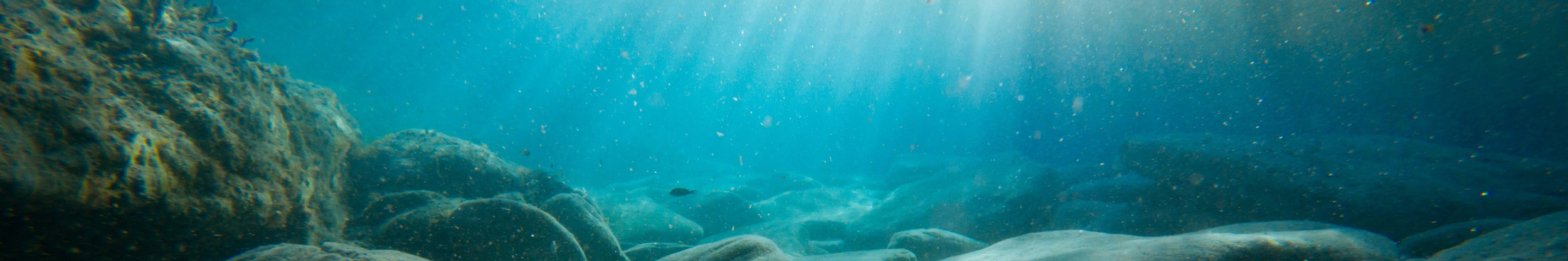 Underwater scene with rocks, small fish, and sunlight filtering through the water.