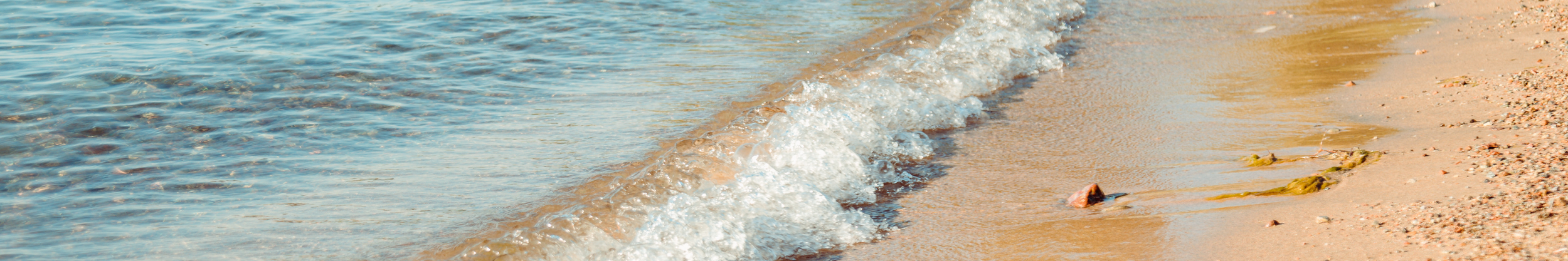Waves gently lapping onto a sandy beach with small rocks and shells.