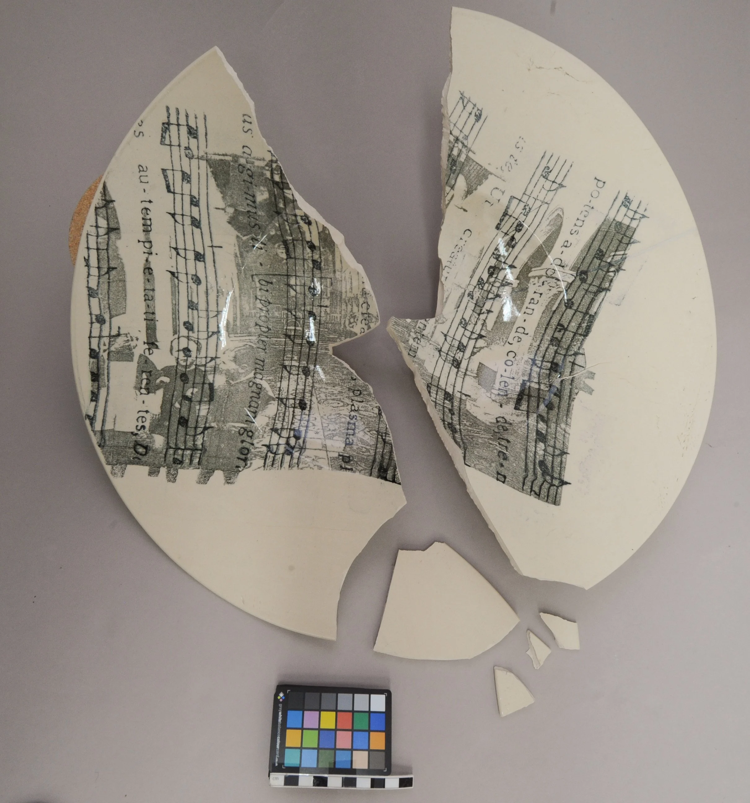 Large dish before treatment.