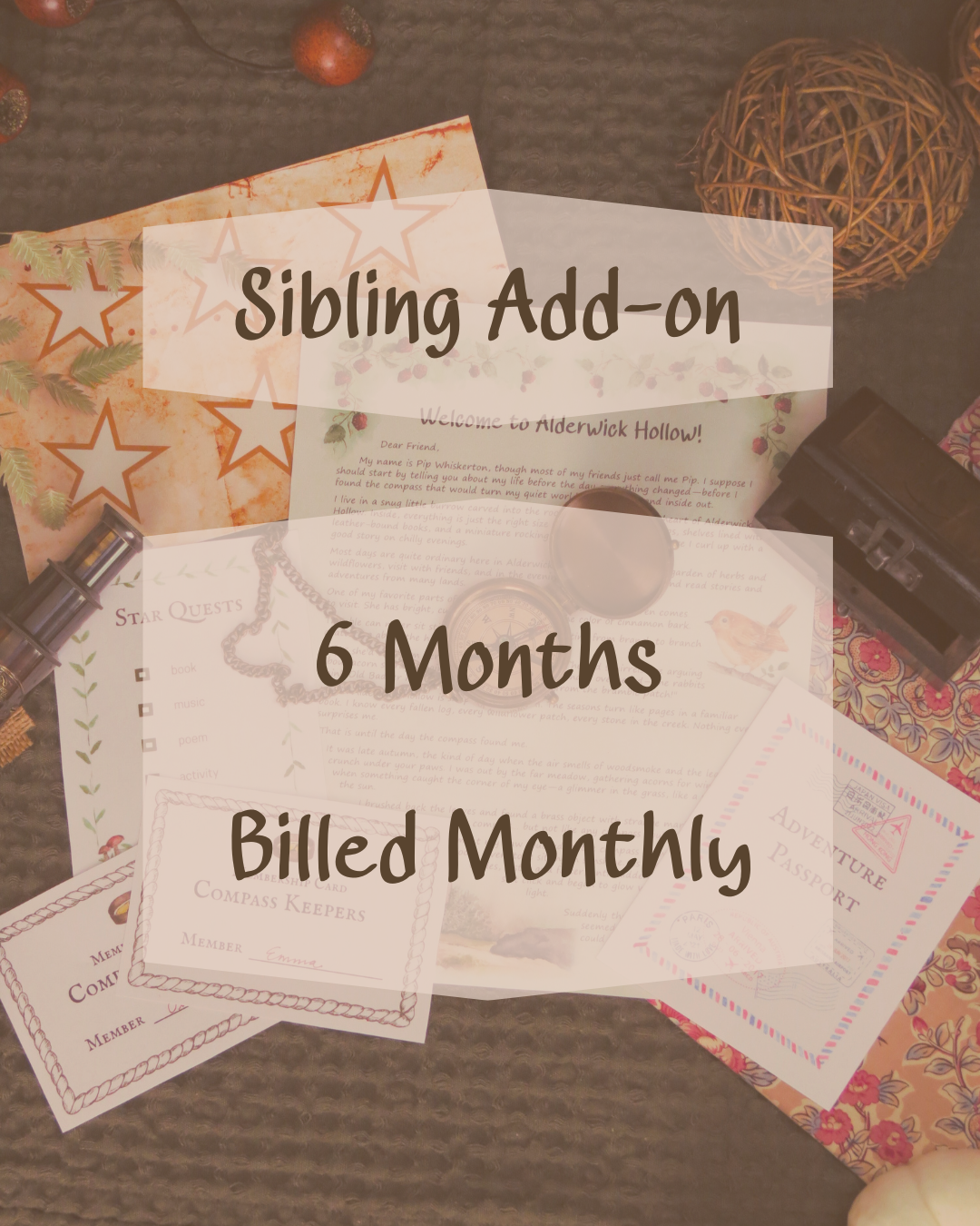 6 Month Sibling Add-on (Billed Monthly)