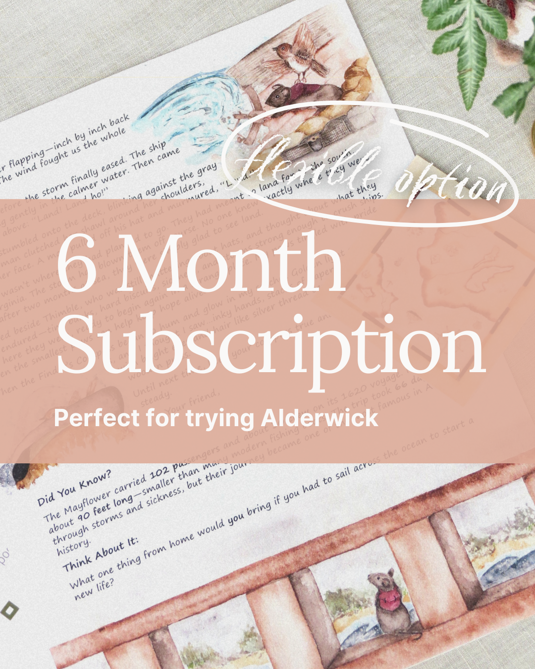 6-Month Adventure Plan