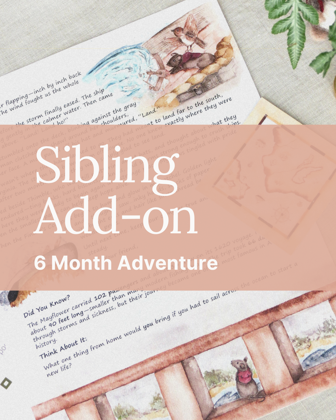 6 Month Sibling Add-on (One-time Payment)
