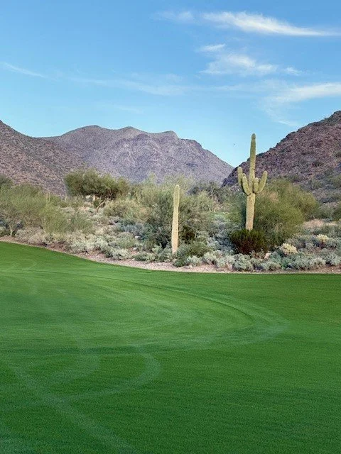 Golf course fairway featuring tall saguaro cacti and distant mountain scenery