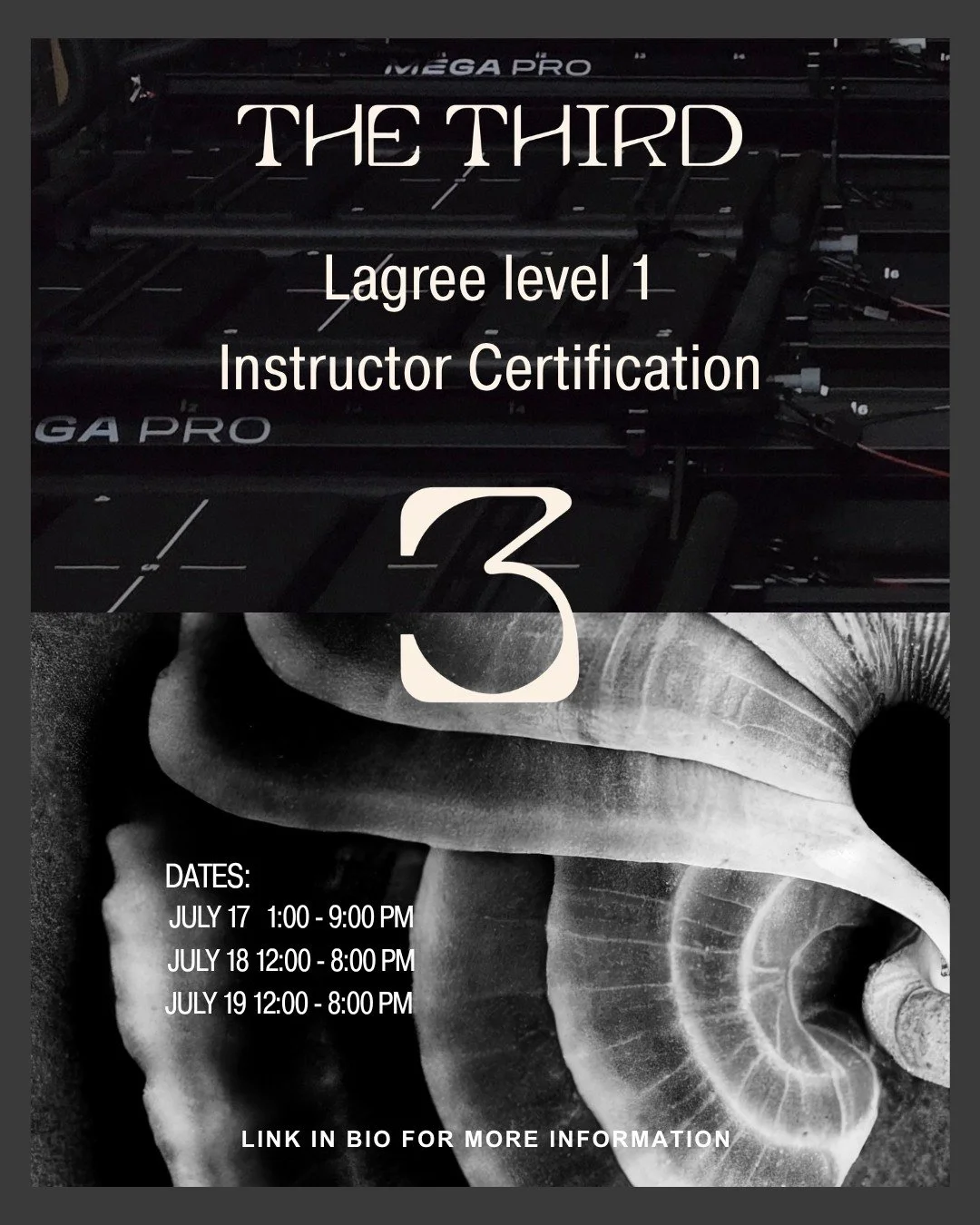 We're building something special. Want to be apart of it?

A Level 1 Certification is more than a weekend of learning, it's an opportunity to deepen your understanding of the method, connect with like-minded movers, and become part of a growing commu
