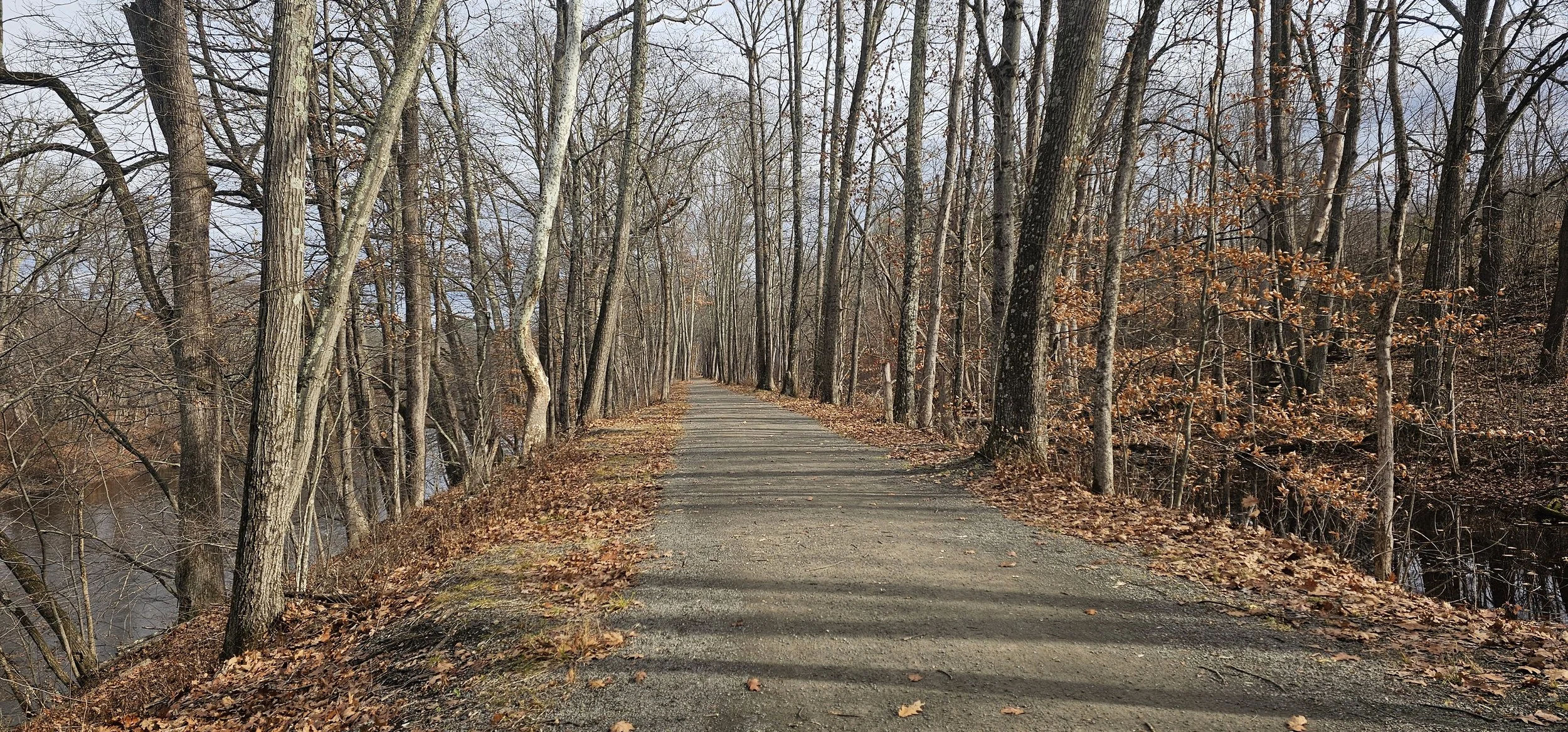 PCA Announces Funding Futures Fellows