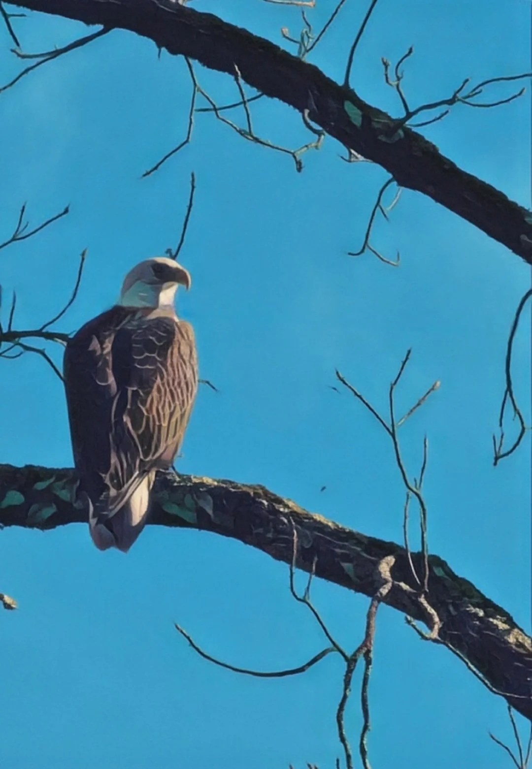 PCA Announces Funding Futures Fellows